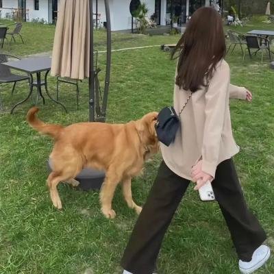 禁婚令
